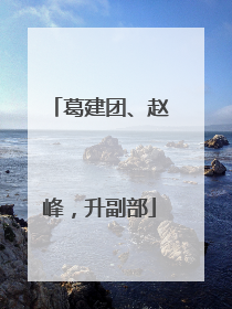 葛建团、赵峰，升副部