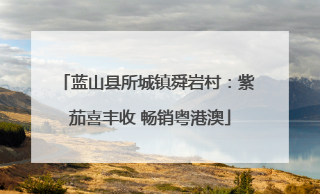 蓝山县所城镇舜岩村：紫茄喜丰收 畅销粤港澳