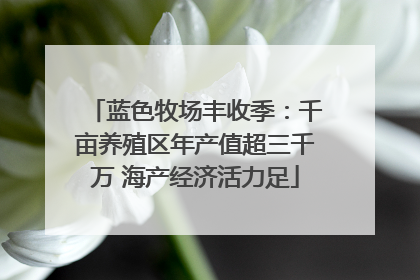 蓝色牧场丰收季：千亩养殖区年产值超三千万 海产经济活力足