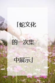 蛇文化的一次集中展示