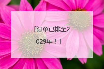 订单已排至2029年！