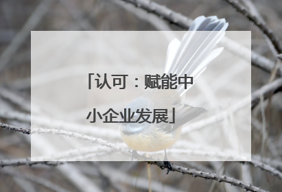 认可：赋能中小企业发展