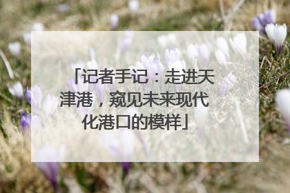 记者手记：走进天津港，窥见未来现代化港口的模样
