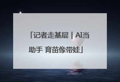 记者走基层｜AI当助手 育苗像带娃