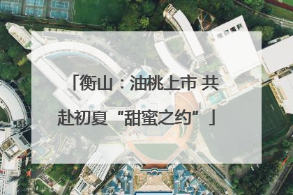 衡山：油桃上市 共赴初夏“甜蜜之约”