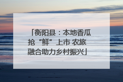 衡阳县：本地香瓜抢“鲜”上市 农旅融合助力乡村振兴