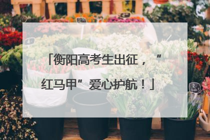 衡阳高考生出征，“红马甲”爱心护航！