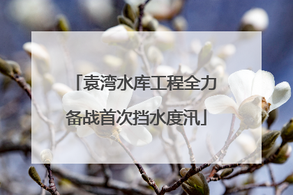 袁湾水库工程全力备战首次挡水度汛