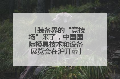 装备界的“竞技场”来了，中国国际模具技术和设备展览会在沪开幕