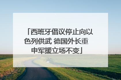西班牙倡议停止向以色列供武 德国外长重申军援立场不变