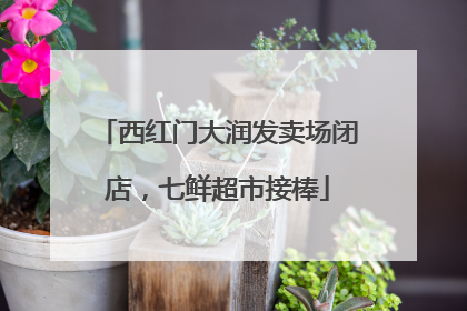 西红门大润发卖场闭店，七鲜超市接棒