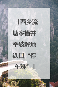 西乡流塘多措并举破解地铁口“停车难”