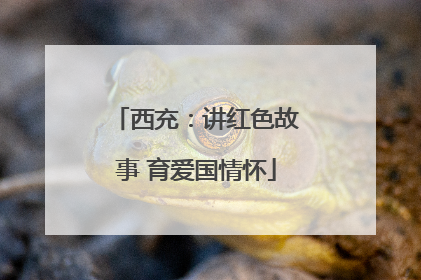 西充：讲红色故事 育爱国情怀