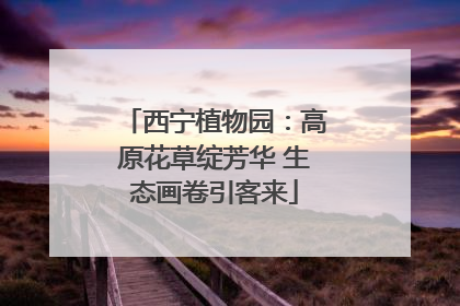 西宁植物园：高原花草绽芳华 生态画卷引客来