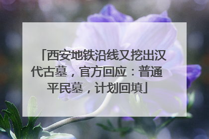 西安地铁沿线又挖出汉代古墓，官方回应：普通平民墓，计划回填