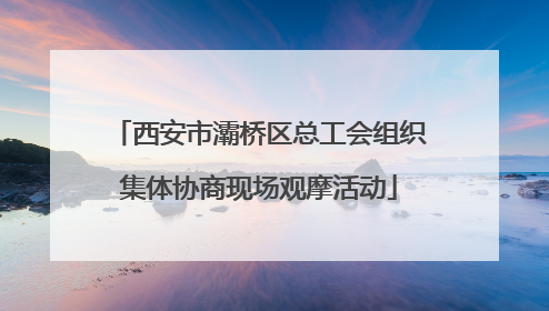 西安市灞桥区总工会组织集体协商现场观摩活动