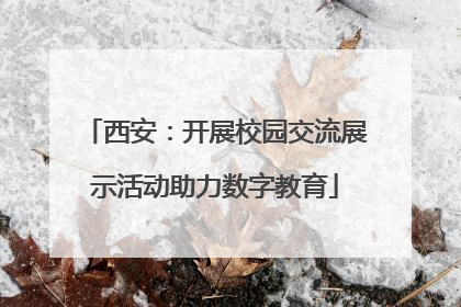 西安：开展校园交流展示活动助力数字教育