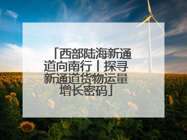 西部陆海新通道向南行丨探寻新通道货物运量增长密码