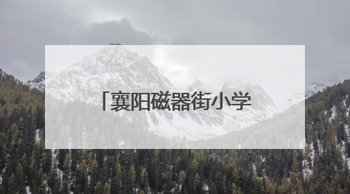 襄阳磁器街小学开展禁毒主题教育 筑牢青少年“无毒防线”