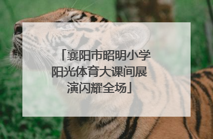 襄阳市昭明小学阳光体育大课间展演闪耀全场