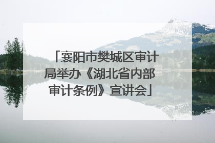 襄阳市樊城区审计局举办《湖北省内部审计条例》宣讲会