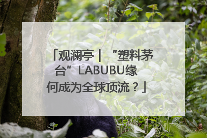 观澜亭｜“塑料茅台”LABUBU缘何成为全球顶流？