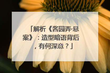 解析《酱园弄·悬案》：造型暗语背后，有何深意？