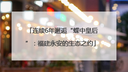 连续6年邂逅“蝶中皇后”：福建永安的生态之约
