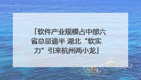 软件产业规模占中部六省总量逾半 湖北“软实力”引来杭州两小龙