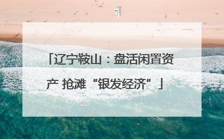 辽宁鞍山：盘活闲置资产 抢滩“银发经济”