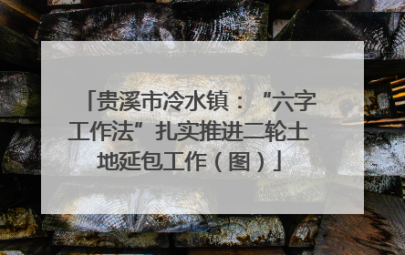 贵溪市冷水镇：“六字工作法”扎实推进二轮土地延包工作（图）