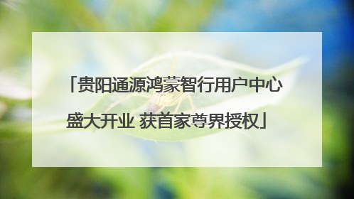 贵阳通源鸿蒙智行用户中心盛大开业 获首家尊界授权