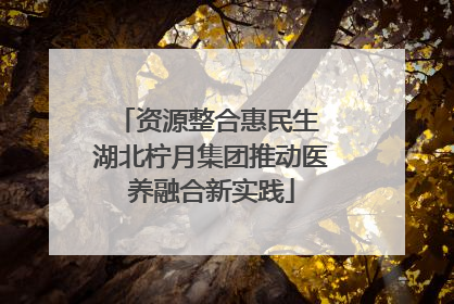 资源整合惠民生 湖北柠月集团推动医养融合新实践