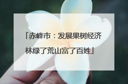 赤峰市：发展果树经济林绿了荒山富了百姓