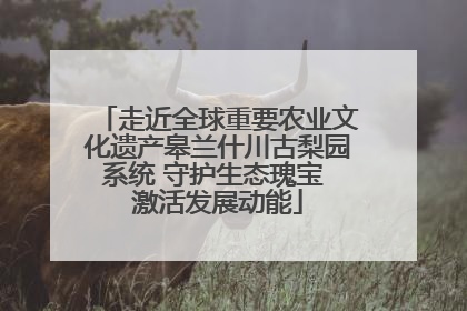 走近全球重要农业文化遗产皋兰什川古梨园系统 守护生态瑰宝 激活发展动能