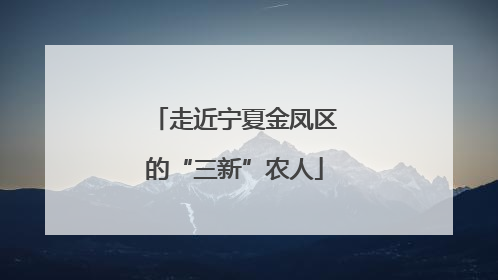 走近宁夏金凤区的“三新”农人