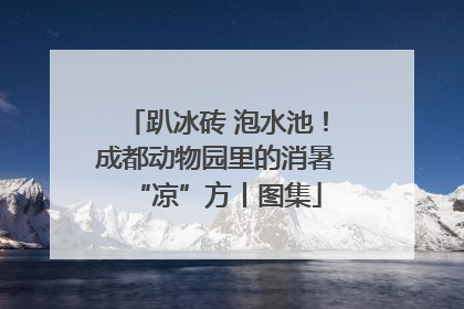趴冰砖 泡水池！成都动物园里的消暑“凉”方丨图集
