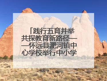 践行五育并举 共探教育新路径——怀远县淝河镇中心学校举行中小学、幼儿园班主任论坛活动