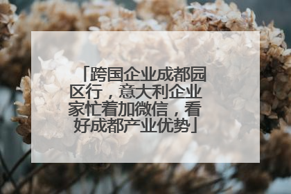 跨国企业成都园区行，意大利企业家忙着加微信，看好成都产业优势