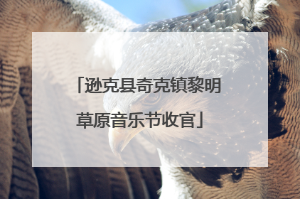 逊克县奇克镇黎明草原音乐节收官
