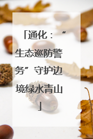 通化：“生态巡防警务”守护边境绿水青山