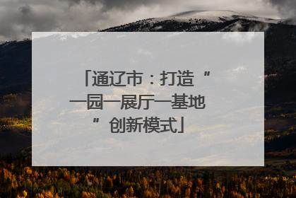 通辽市：打造“一园一展厅一基地”创新模式