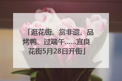 逛花街、赏非遗、品烤鸭、过端午……宜良花街5月28日开街