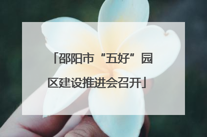 邵阳市“五好”园区建设推进会召开