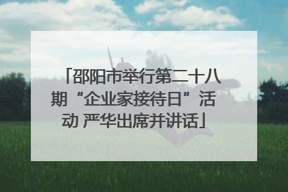 邵阳市举行第二十八期“企业家接待日”活动 严华出席并讲话