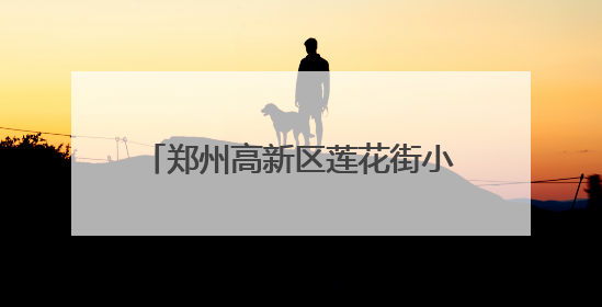 郑州高新区莲花街小学检查作业促教学