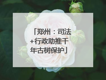 郑州：司法+行政助推千年古树保护