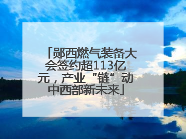 郧西燃气装备大会签约超113亿元，产业“链”动中西部新未来