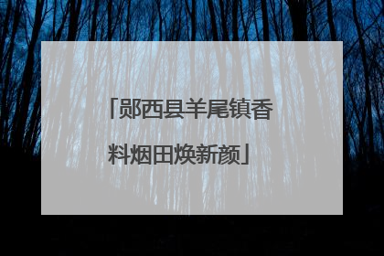 郧西县羊尾镇香料烟田焕新颜