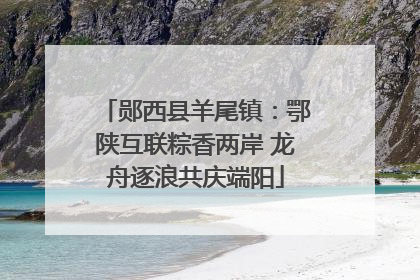 郧西县羊尾镇：鄂陕互联粽香两岸 龙舟逐浪共庆端阳